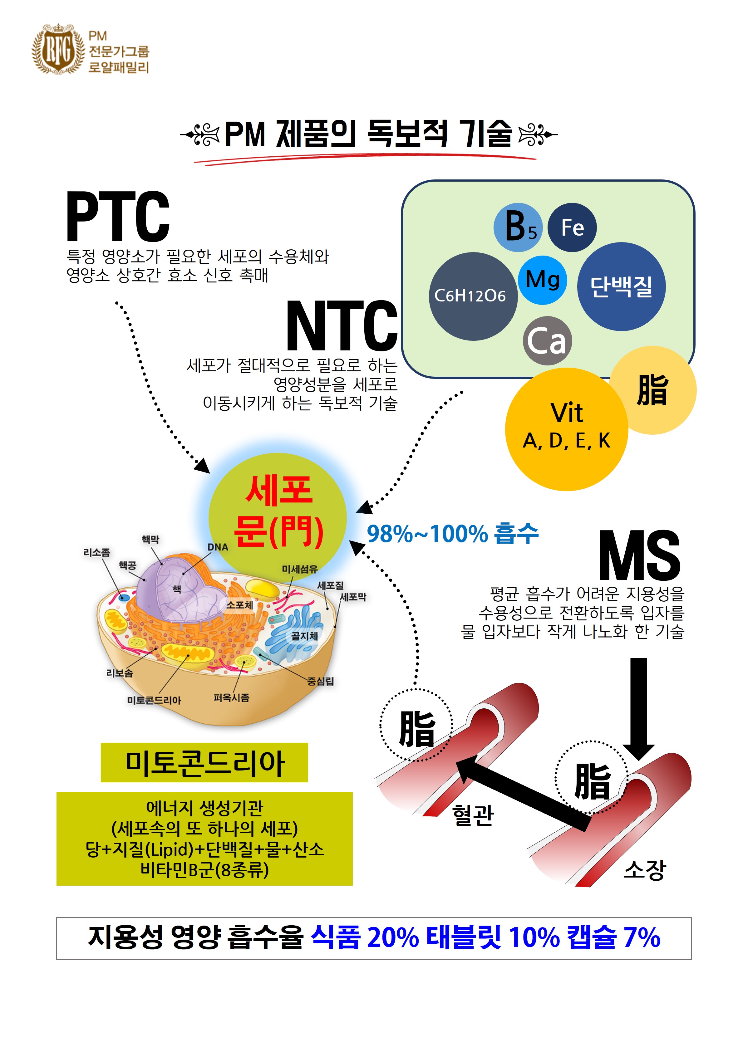 Mobile Version Image