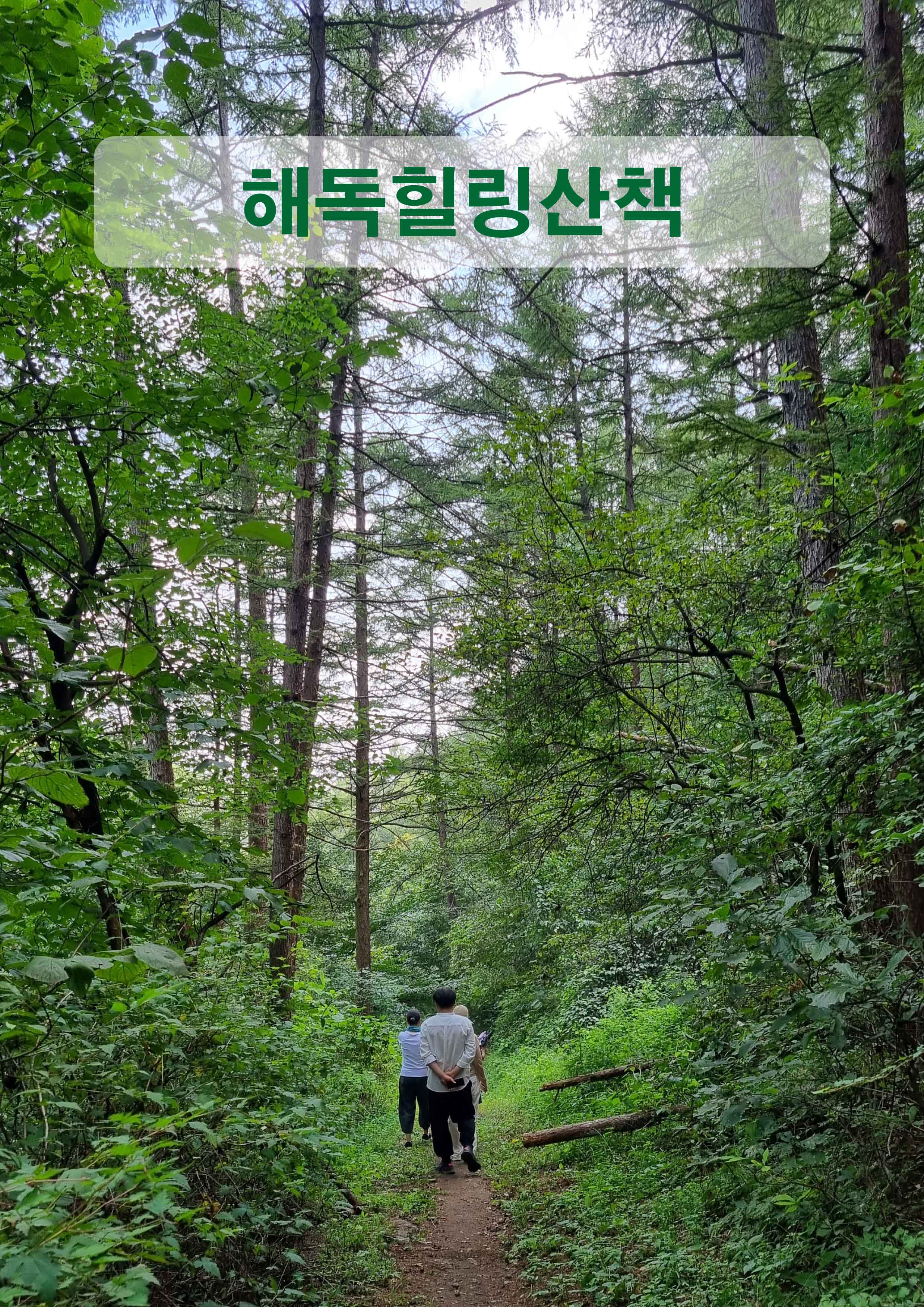 Mobile Version Image